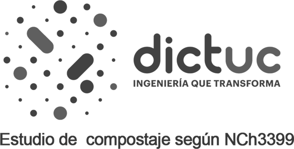 logo dictuc-2